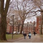 하버드大 신입생, 흑인 감소… 아시아계 증가