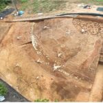 고성 송학동 고분군, 가야권 “최대”